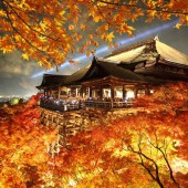 Chùa Kiyomizu-dera thắp sáng đến tối muộn để chào đón mùa thu